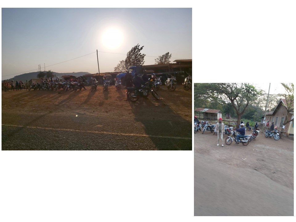 הטיול שלנו לטנזניה 2021 – חלק ראשון by מיכל בן הגיא - Illustrated by מיכל סלע ואבנר אייזיק - Ourboox.com