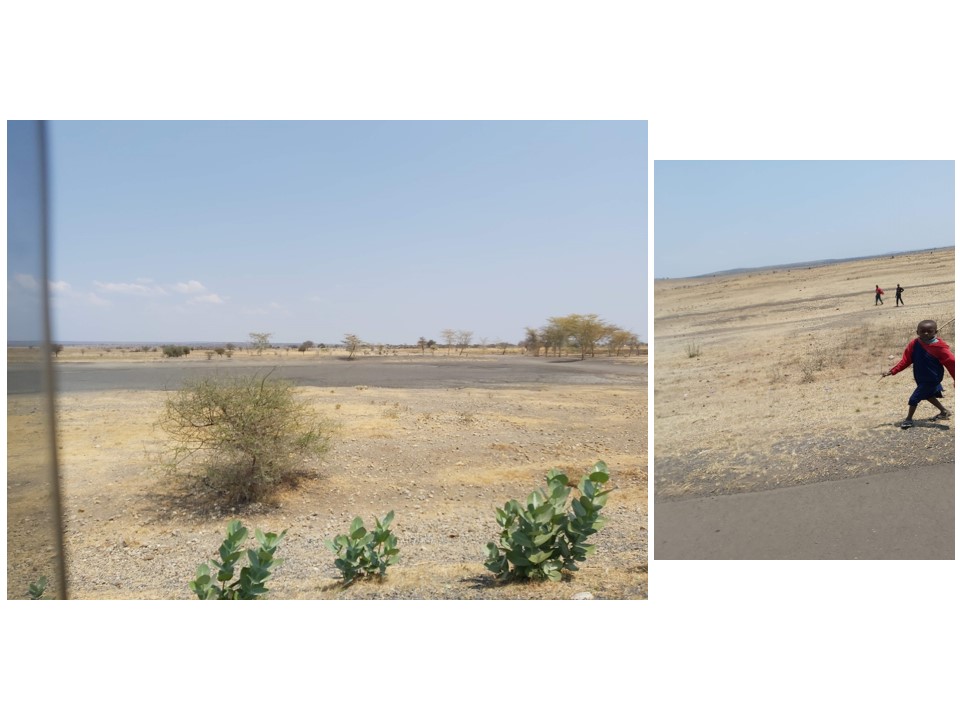 הטיול שלנו לטנזניה 2021 – חלק ראשון by מיכל בן הגיא - Illustrated by מיכל סלע ואבנר אייזיק - Ourboox.com