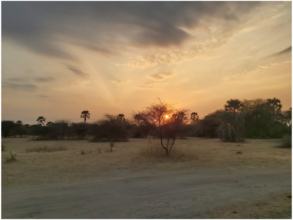 הטיול שלנו לטנזניה 2021 – חלק ראשון by מיכל בן הגיא - Illustrated by מיכל סלע ואבנר אייזיק - Ourboox.com