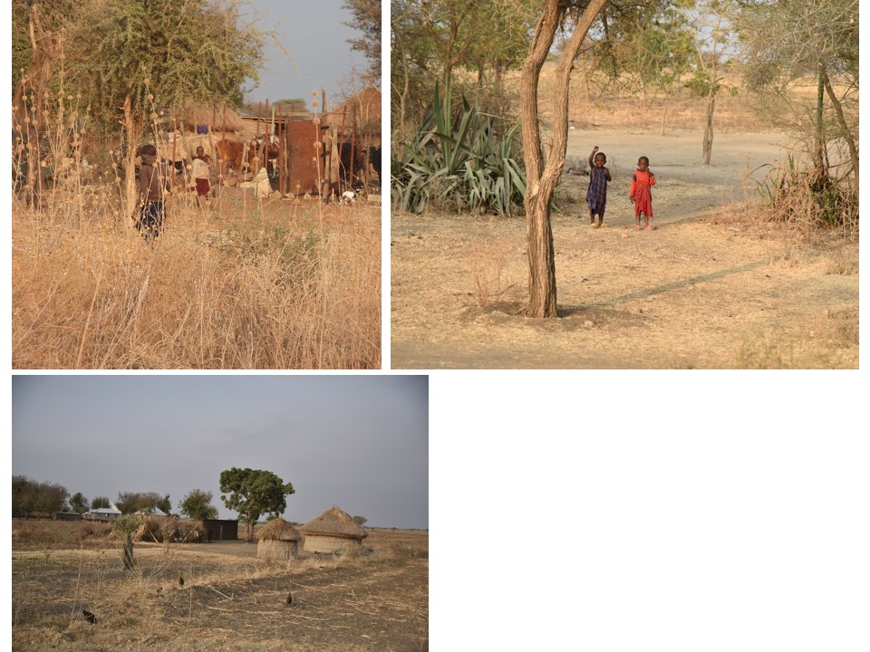 הטיול שלנו לטנזניה 2021 – חלק ראשון by מיכל בן הגיא - Illustrated by מיכל סלע ואבנר אייזיק - Ourboox.com