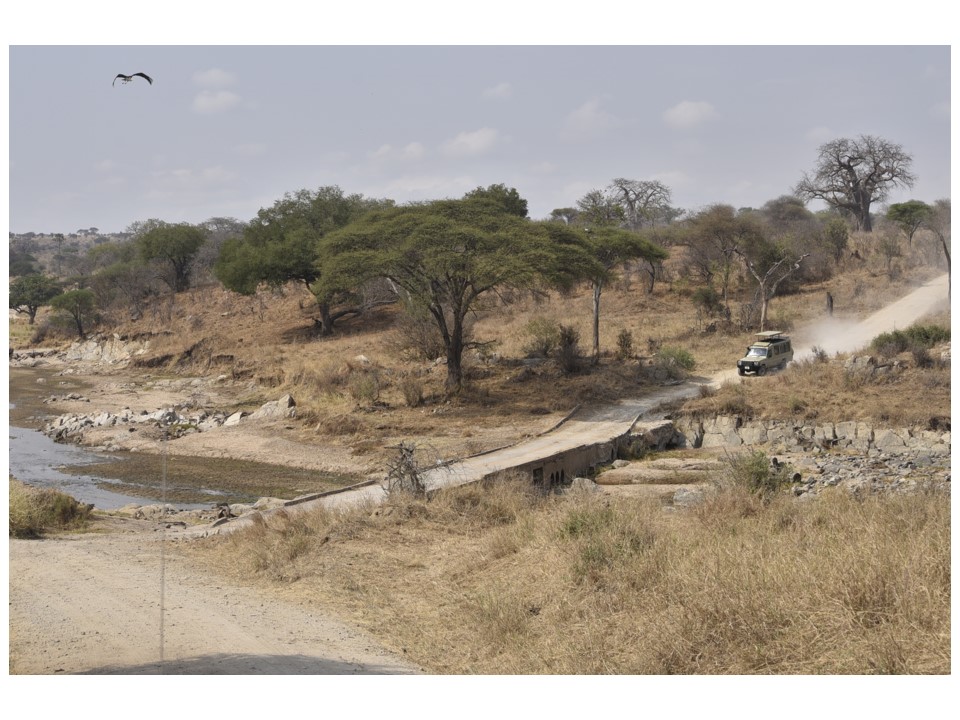 הטיול שלנו לטנזניה 2021 – חלק ראשון by מיכל בן הגיא - Illustrated by מיכל סלע ואבנר אייזיק - Ourboox.com