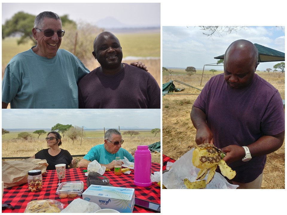 הטיול שלנו לטנזניה 2021 – חלק ראשון by מיכל בן הגיא - Illustrated by מיכל סלע ואבנר אייזיק - Ourboox.com