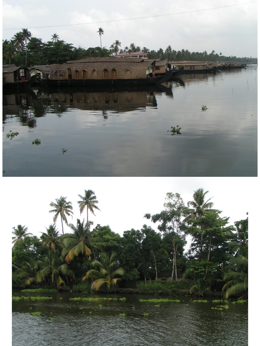 טיול שורשים להודו – חלק שני דרום הודו by מיכל בן הגיא - Illustrated by אבנר אייזיק - Ourboox.com