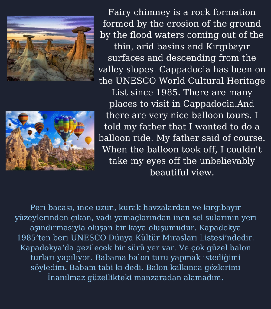 A traveler on the blue planet by Cristina Mariana Răducanu - Illustrated by Cristina Mariana Răducanu - Ourboox.com