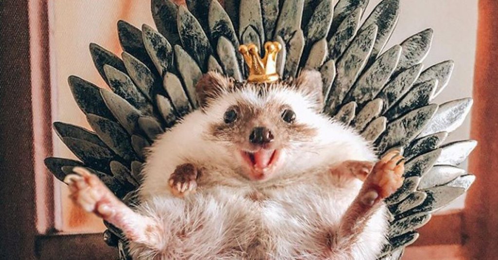 אוגדן המפלצות לD&D by itamar hadas - Illustrated by ההוא מהזה - Ourboox.com