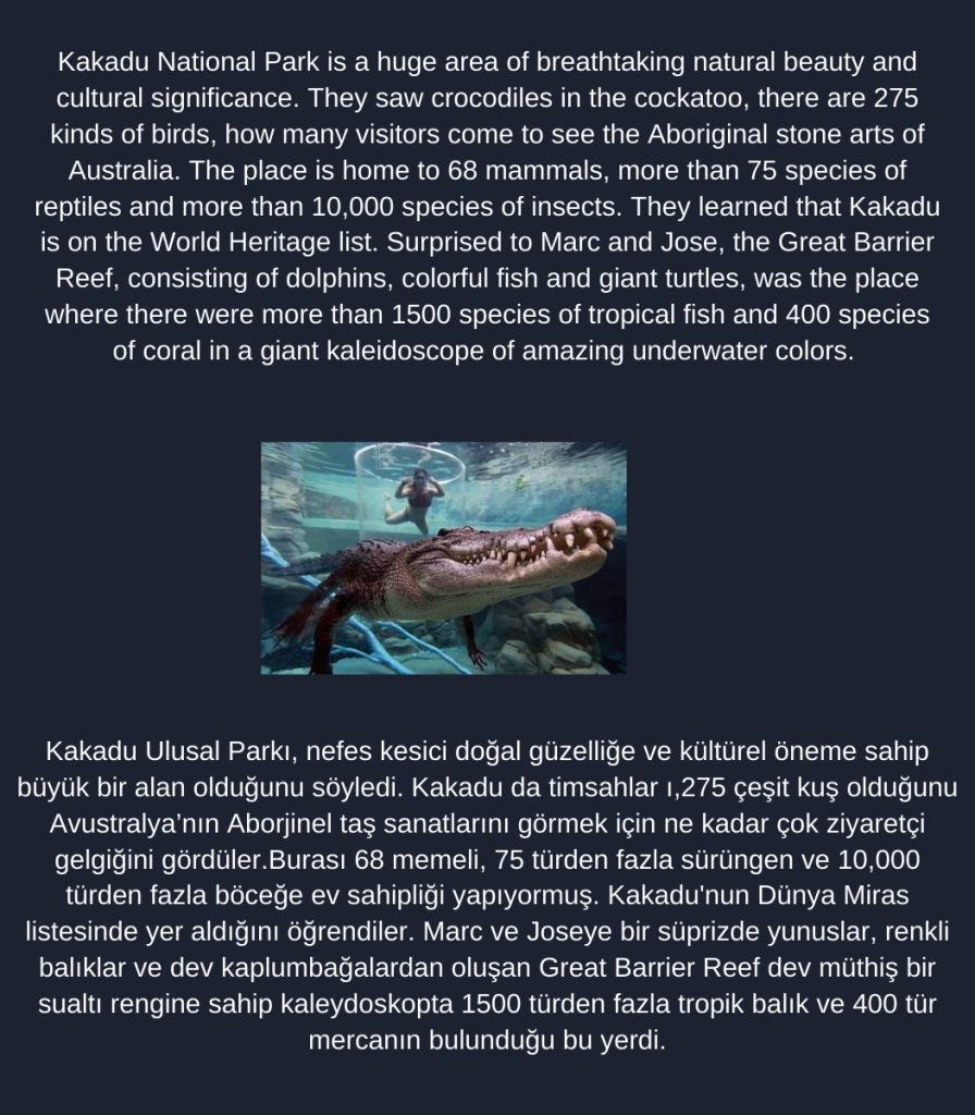 A traveler on the blue planet by Cristina Mariana Răducanu - Illustrated by Cristina Mariana Răducanu - Ourboox.com