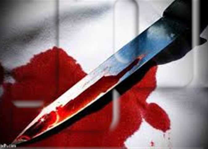 The Pelican Brief by jwad narani - Ourboox.com