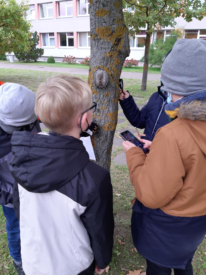 Ketvirtokų rudens veiklos by Laura Palivonienė - Ourboox.com