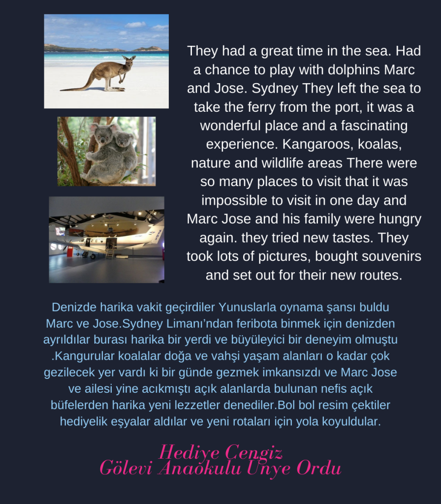 A traveler on the blue planet by Cristina Mariana Răducanu - Illustrated by Cristina Mariana Răducanu - Ourboox.com