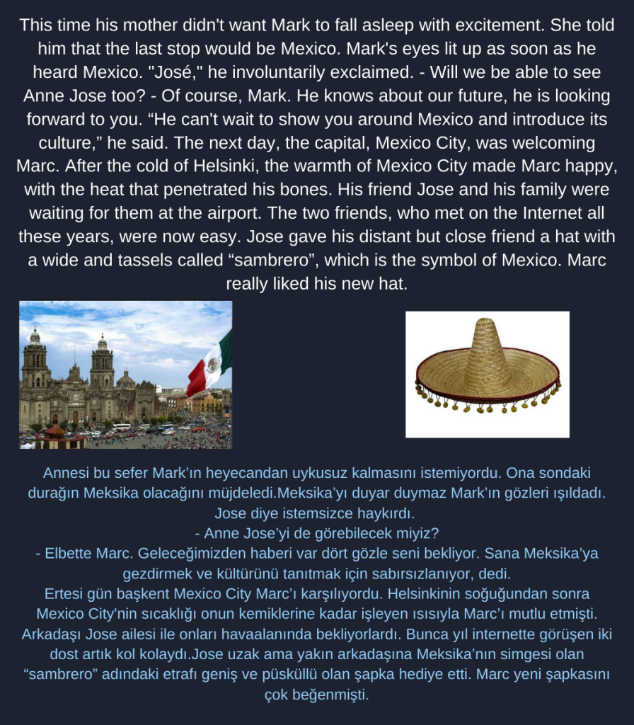 A traveler on the blue planet by Cristina Mariana Răducanu - Illustrated by Cristina Mariana Răducanu - Ourboox.com