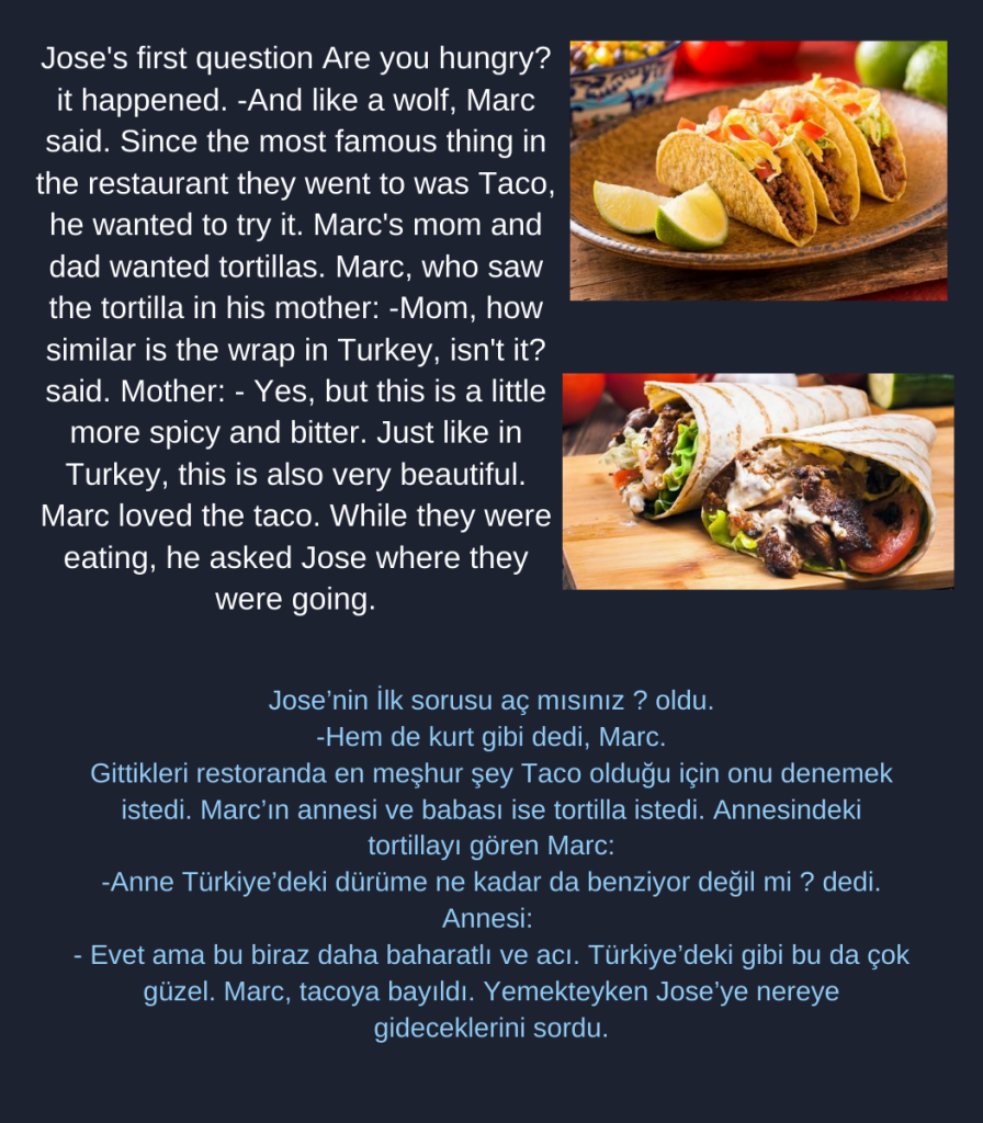 A traveler on the blue planet by Cristina Mariana Răducanu - Illustrated by Cristina Mariana Răducanu - Ourboox.com