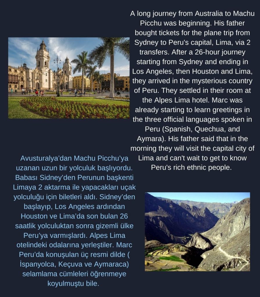 A traveler on the blue planet by Cristina Mariana Răducanu - Illustrated by Cristina Mariana Răducanu - Ourboox.com