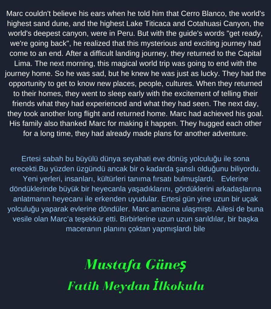 A traveler on the blue planet by Cristina Mariana Răducanu - Illustrated by Cristina Mariana Răducanu - Ourboox.com