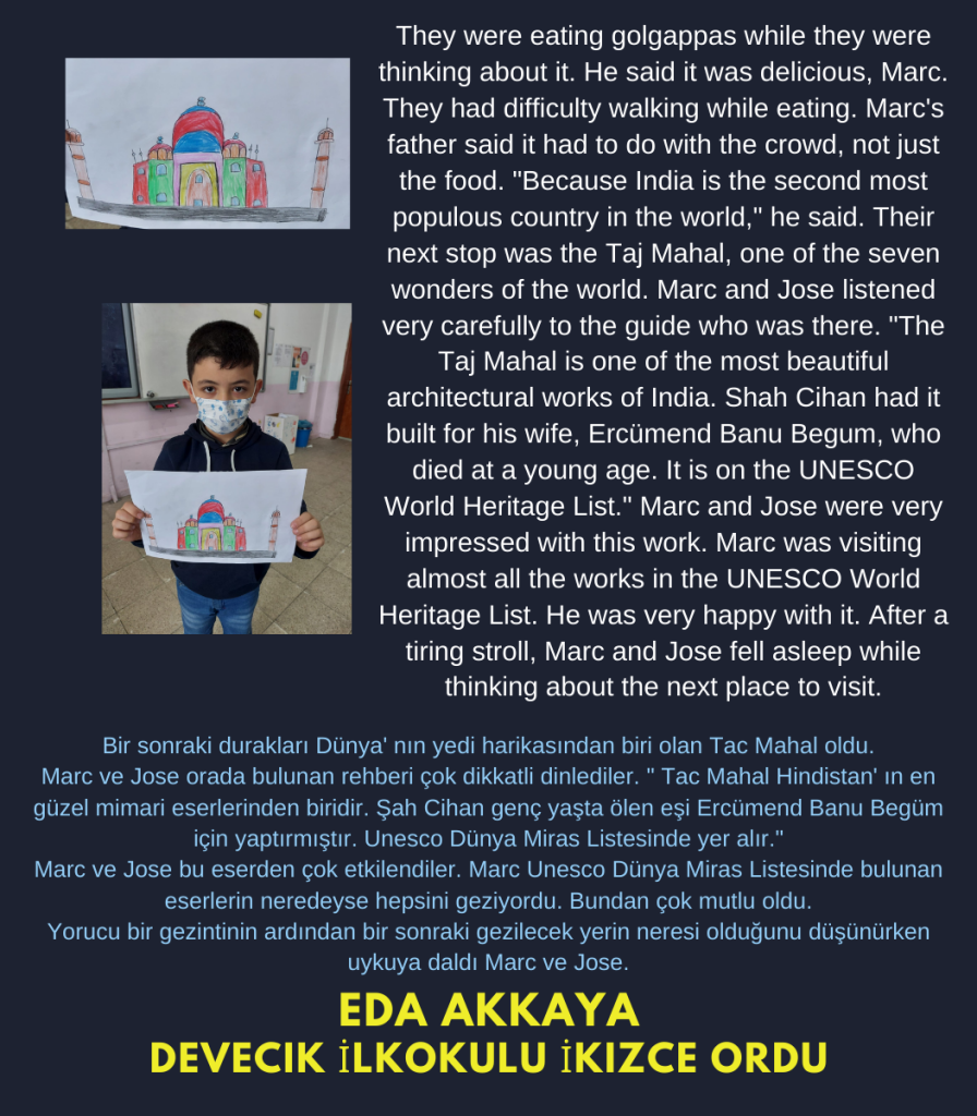 A traveler on the blue planet by Cristina Mariana Răducanu - Illustrated by Cristina Mariana Răducanu - Ourboox.com