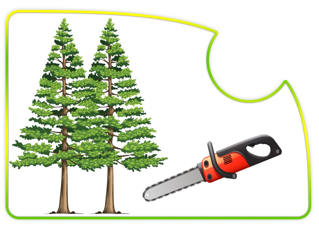 ЗДОРОВА ПЛАНЕТА-ЗДОРОВА ЛЮДИНА by Вихователь СДНЗ №65 "Лукомор