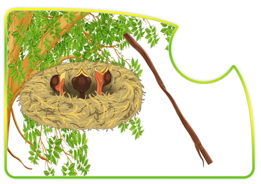 ЗДОРОВА ПЛАНЕТА-ЗДОРОВА ЛЮДИНА by Вихователь СДНЗ №65 "Лукомор
