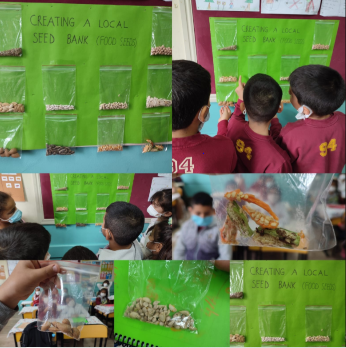 “ARCHITECTS OF OUR SUSTAINABLE WORLD” PROJECT DECEMBER E-BOOK STUDY by İsmail ÇİÇEK - Illustrated by eTwinning project - Ourboox.com