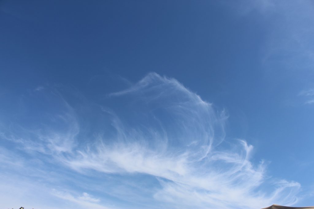 BLUE by sham ak - Illustrated by sham ak - Ourboox.com