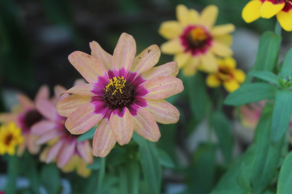 الطبيعة الخلابة بكل تضاريسها 🌹 by jana medlej - Illustrated by جنى مراد مدلج  - Ourboox.com