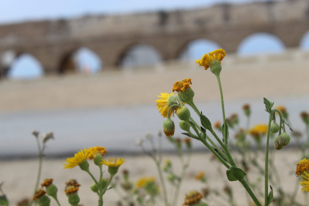 الطبيعة ومخلوقاتها by Yousef shahady - Illustrated by يوسف شحادة - Ourboox.com