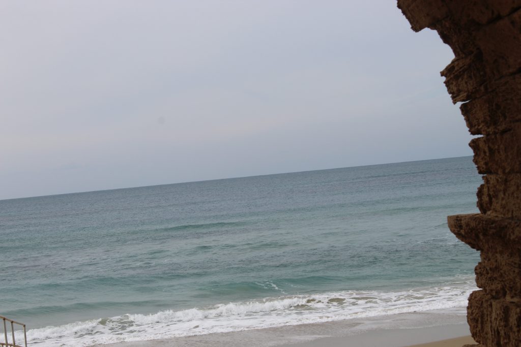 الطبيعة ومخلوقاتها by Yousef shahady - Illustrated by يوسف شحادة - Ourboox.com