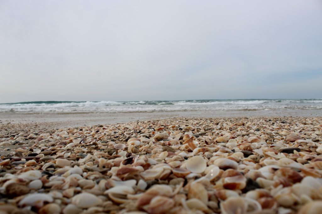 الطبيعة ومخلوقاتها by Yousef shahady - Illustrated by يوسف شحادة - Ourboox.com