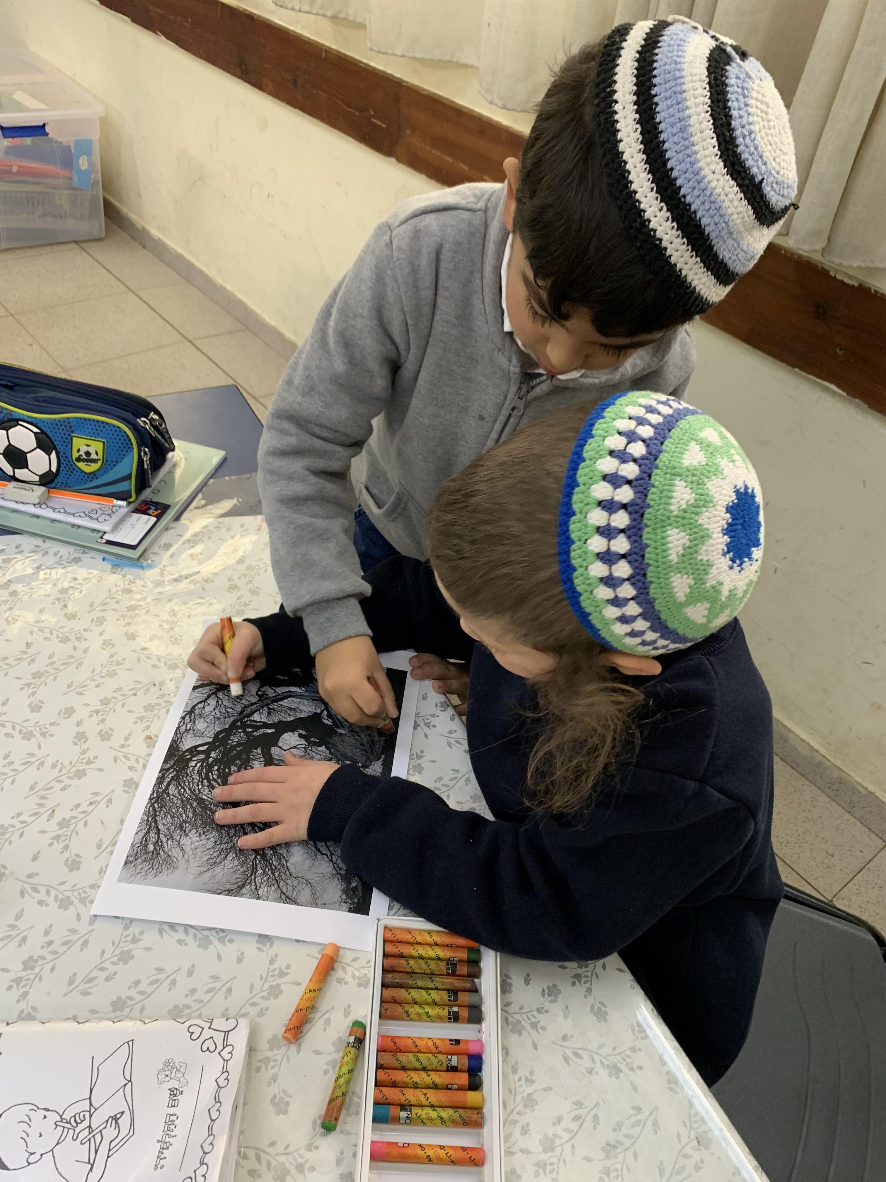 מצמיחים יערות אורן ומיטל לוי by Oren levi - Illustrated by אורן ומיטל לוי - Ourboox.com