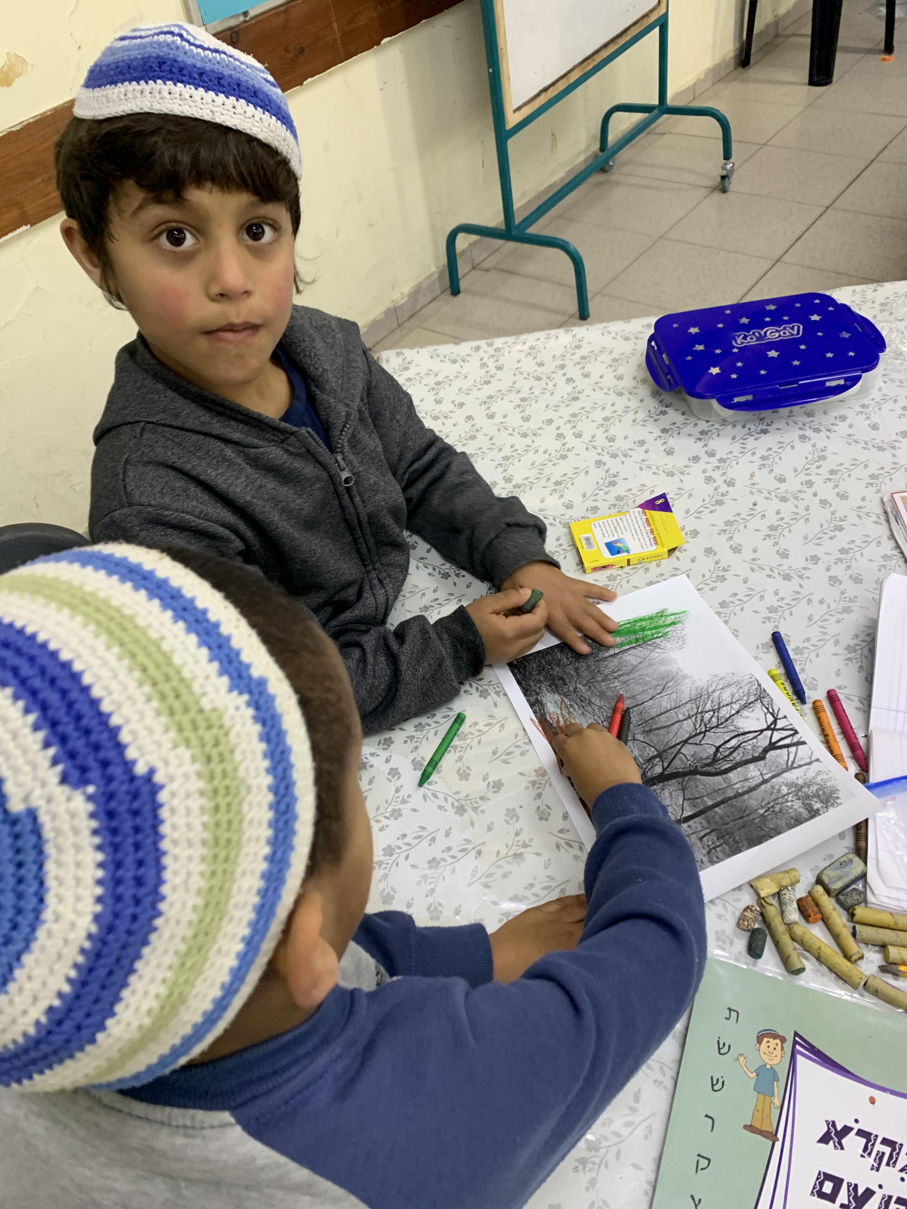 מצמיחים יערות אורן ומיטל לוי by Oren levi - Illustrated by אורן ומיטל לוי - Ourboox.com