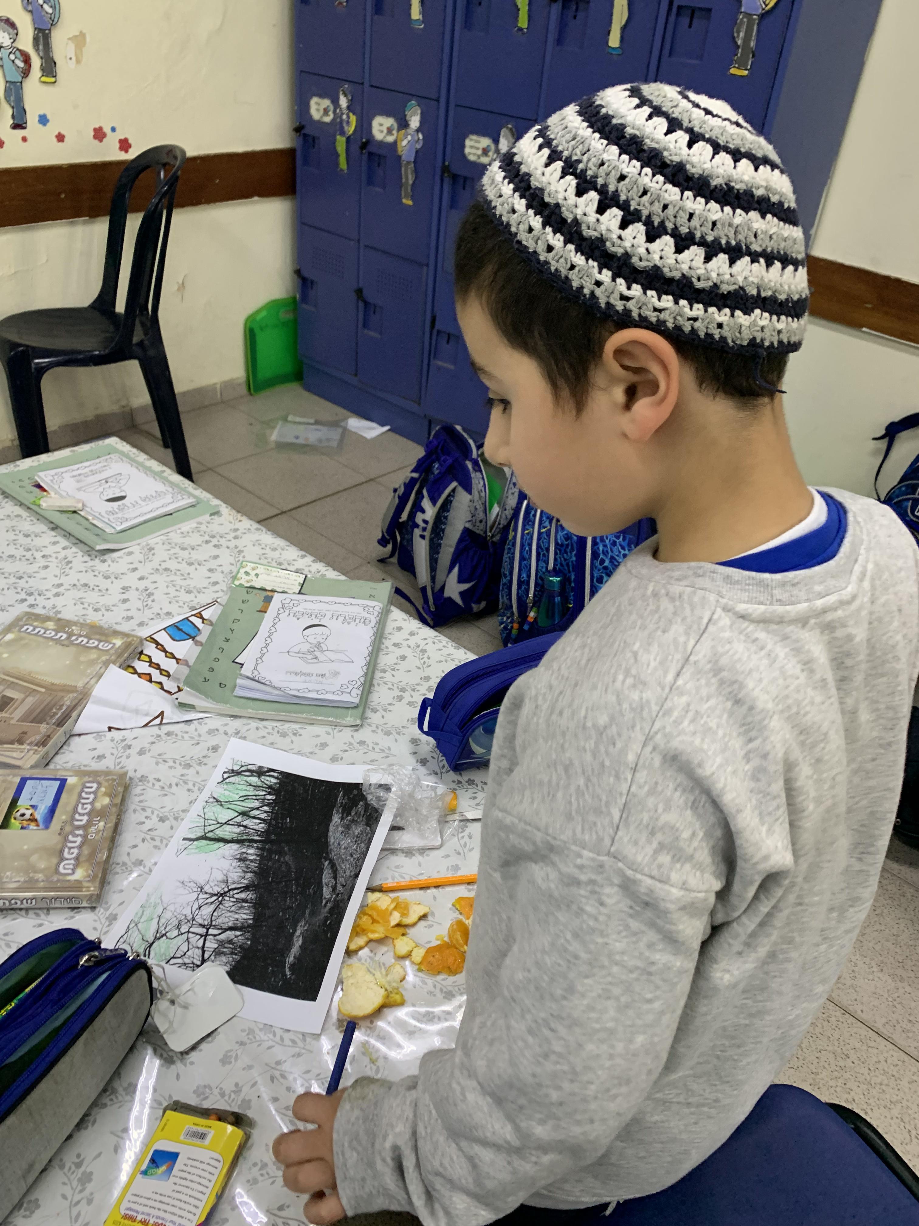 מצמיחים יערות אורן ומיטל לוי by Oren levi - Illustrated by אורן ומיטל לוי - Ourboox.com