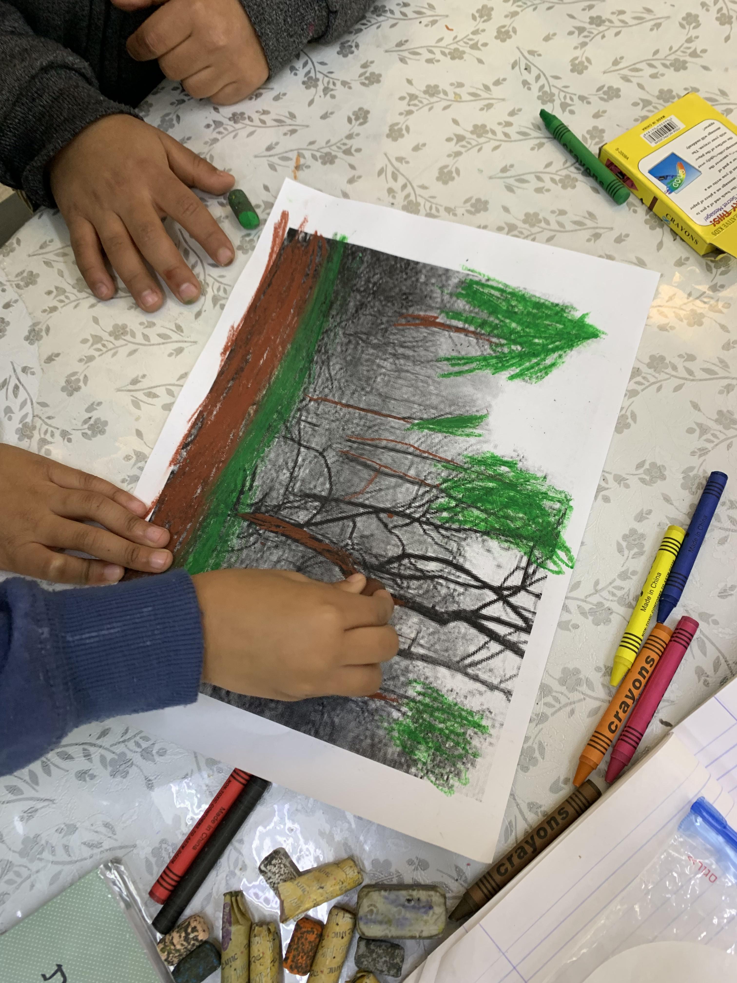 מצמיחים יערות אורן ומיטל לוי by Oren levi - Illustrated by אורן ומיטל לוי - Ourboox.com