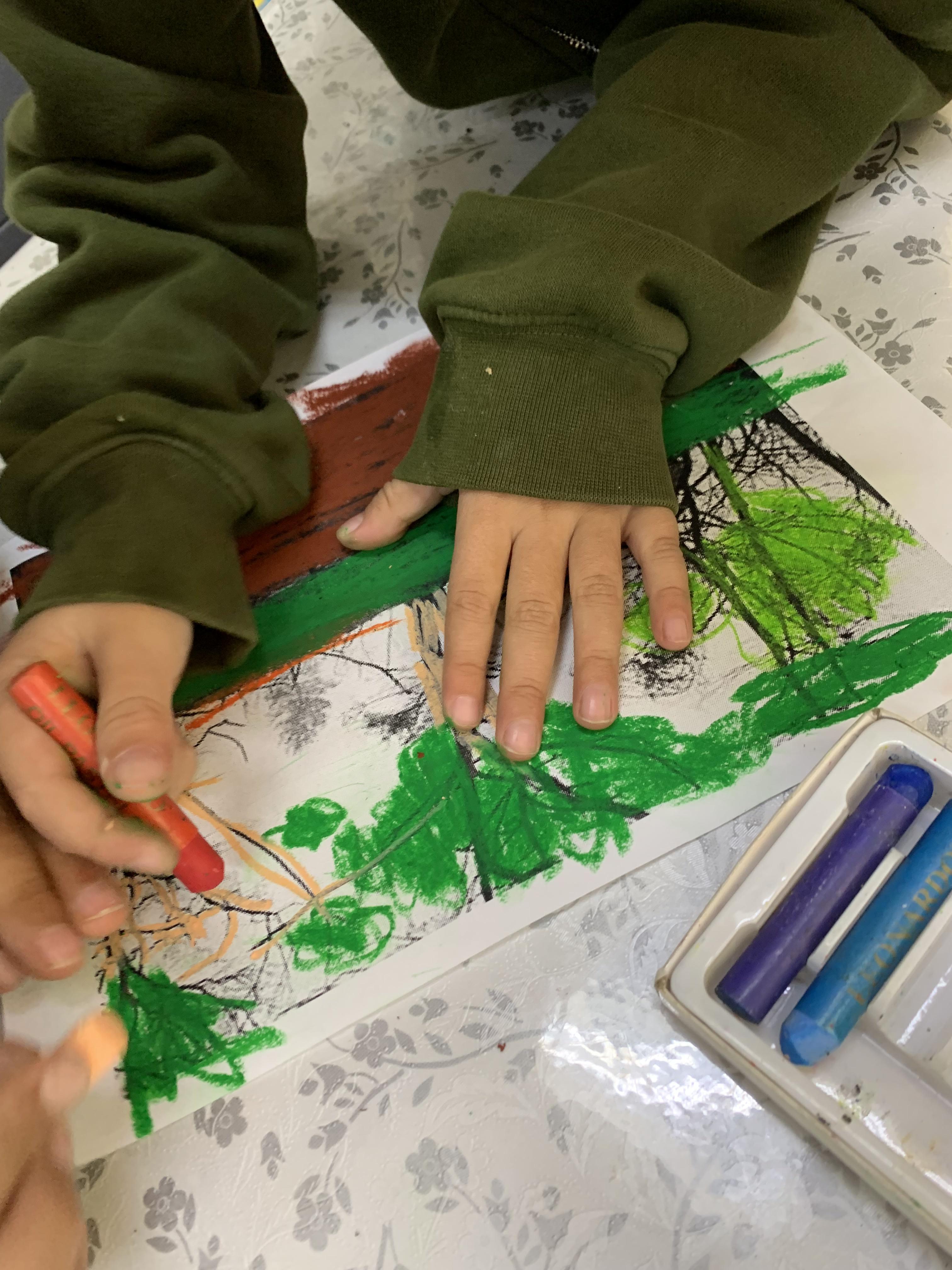 מצמיחים יערות אורן ומיטל לוי by Oren levi - Illustrated by אורן ומיטל לוי - Ourboox.com