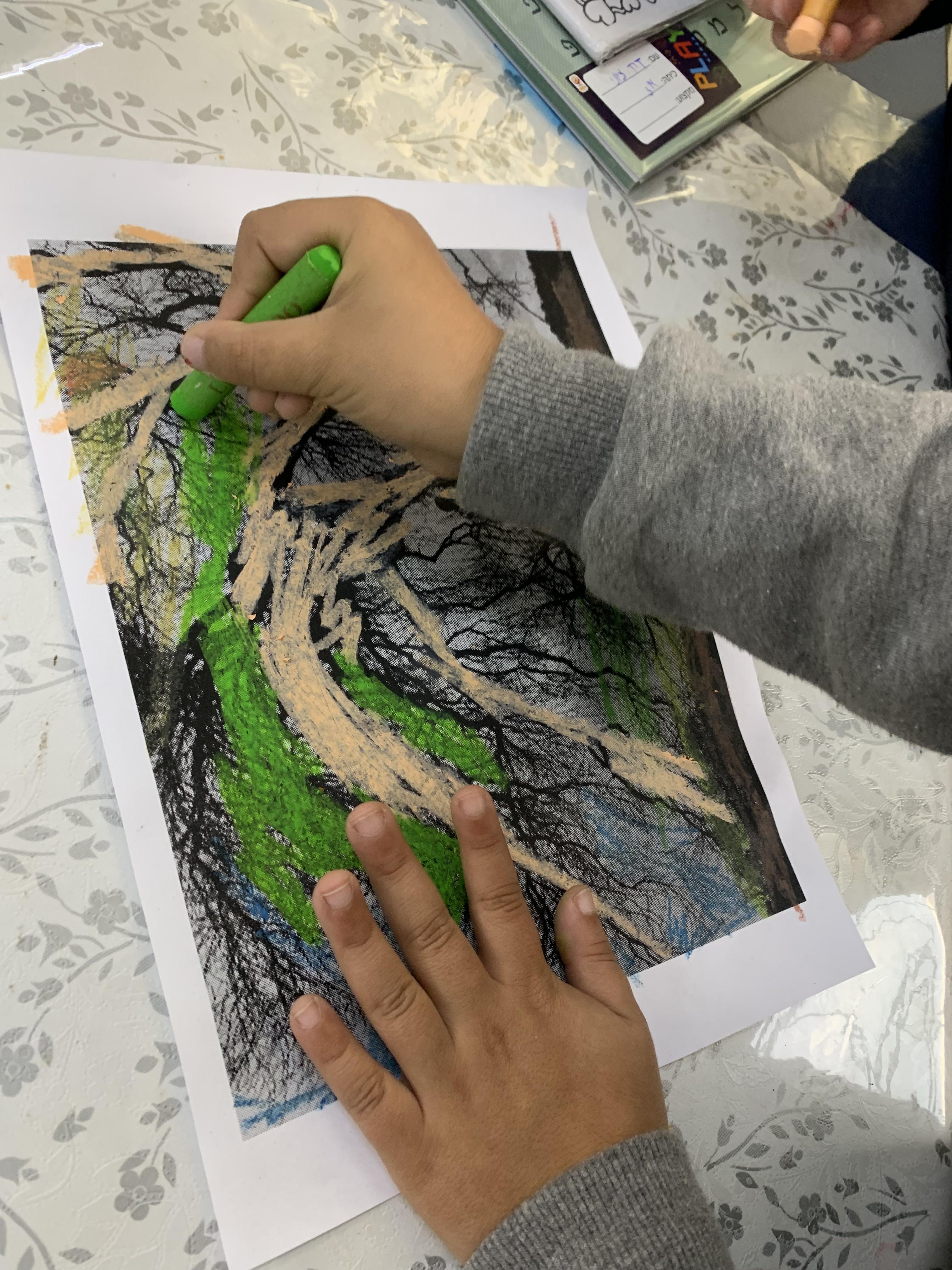 מצמיחים יערות אורן ומיטל לוי by Oren levi - Illustrated by אורן ומיטל לוי - Ourboox.com