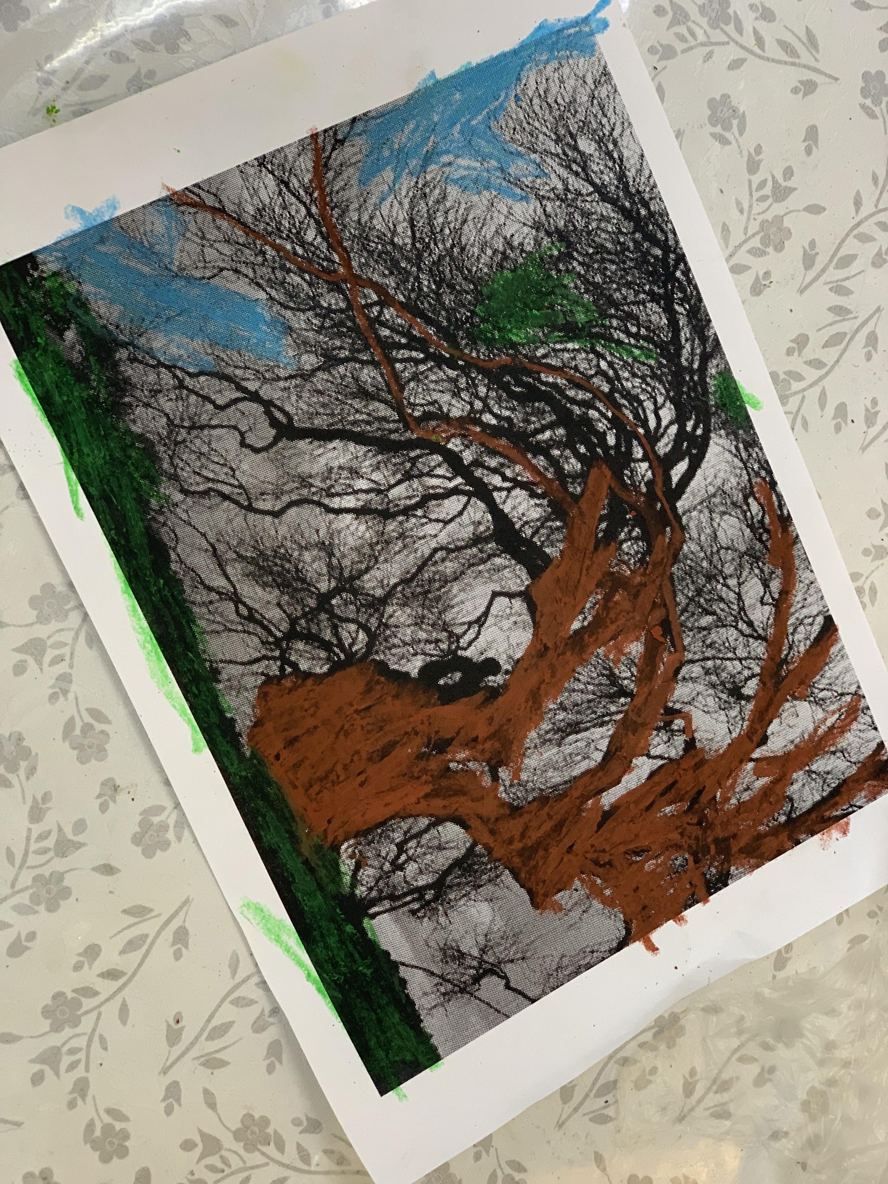 מצמיחים יערות אורן ומיטל לוי by Oren levi - Illustrated by אורן ומיטל לוי - Ourboox.com