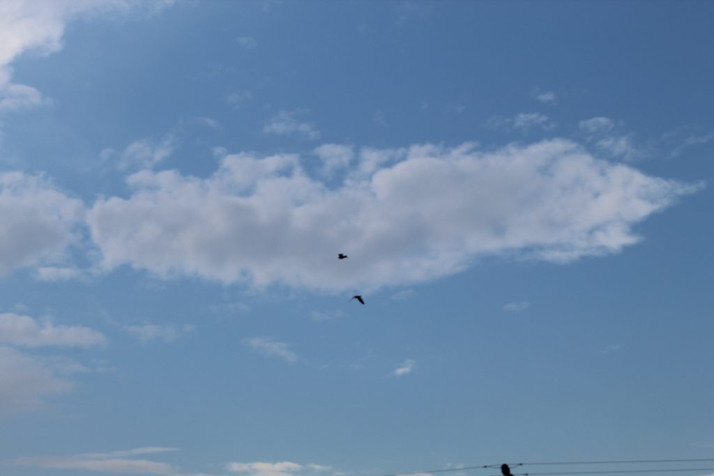 my ordinary life by Eman - Illustrated by Eman Tanip - Ourboox.com