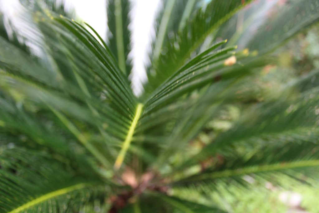 الطبيعة بعيني by imam ndeem zamel - Illustrated by امام زامل - Ourboox.com