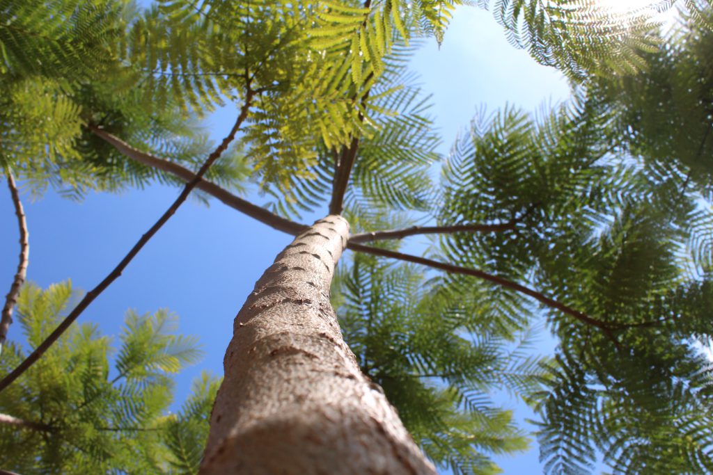 الطبيعة بعيني by imam ndeem zamel - Illustrated by امام زامل - Ourboox.com