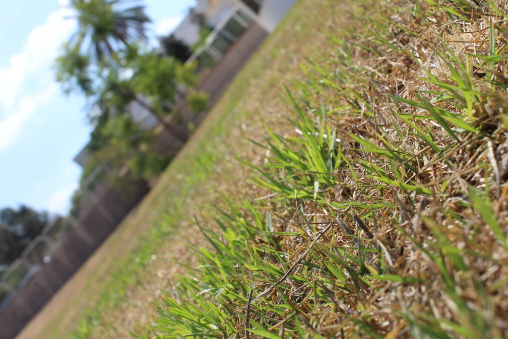 الطبيعة بعيني by imam ndeem zamel - Illustrated by امام زامل - Ourboox.com