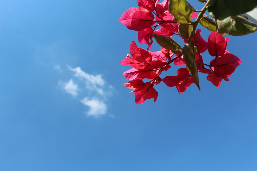 الطبيعة بعيني by imam ndeem zamel - Illustrated by امام زامل - Ourboox.com