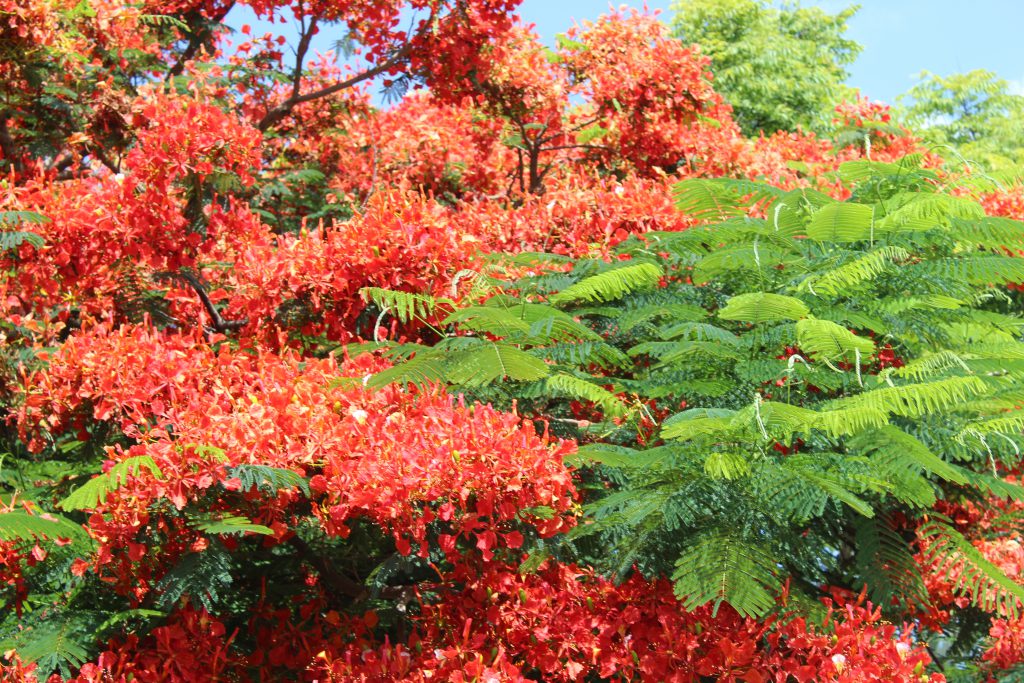 الطبيعة بعيني by imam ndeem zamel - Illustrated by امام زامل - Ourboox.com