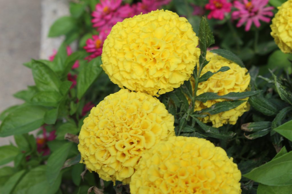 الطبيعة بعيني by imam ndeem zamel - Illustrated by امام زامل - Ourboox.com