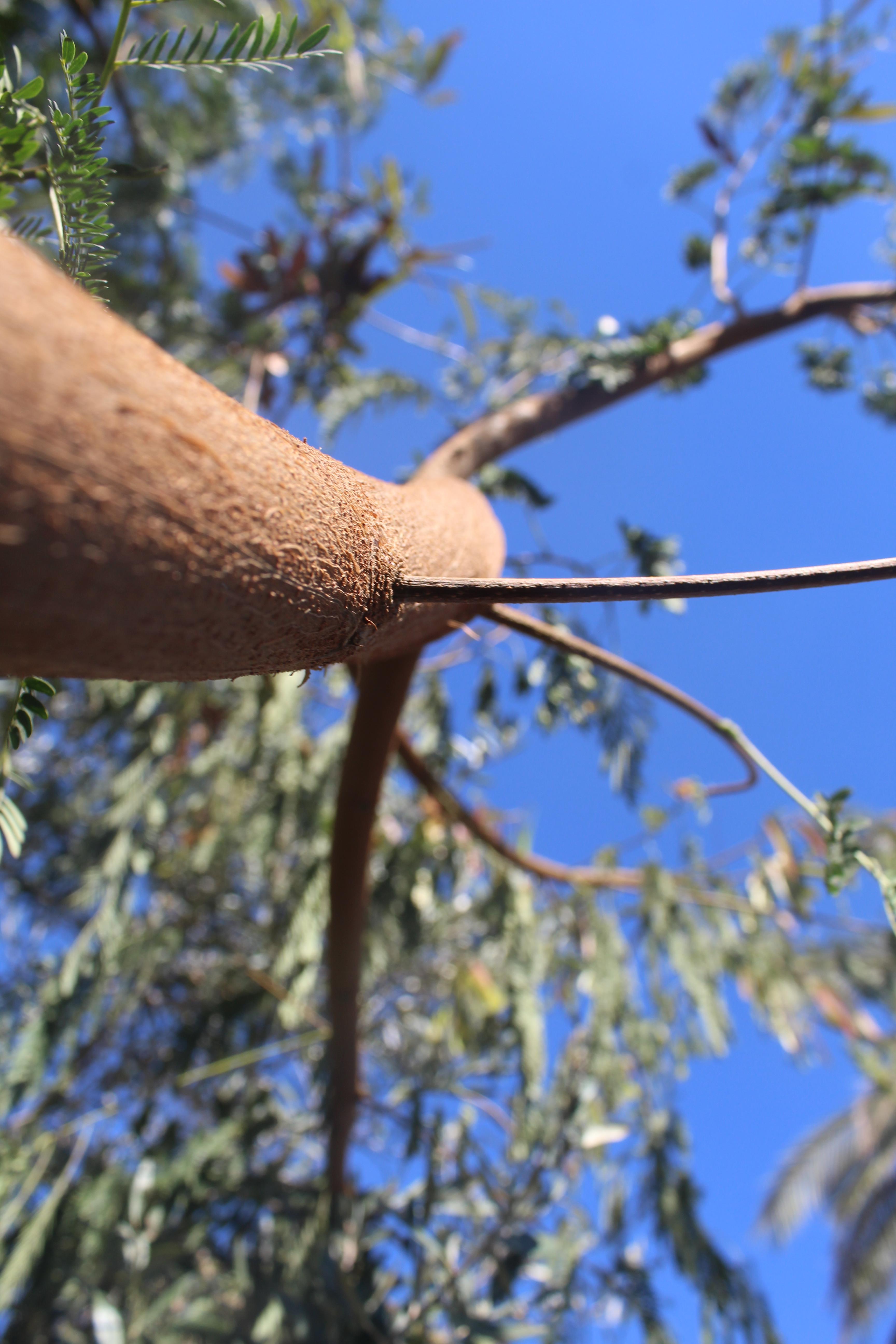 الطبيعة بعيني by imam ndeem zamel - Illustrated by امام زامل - Ourboox.com