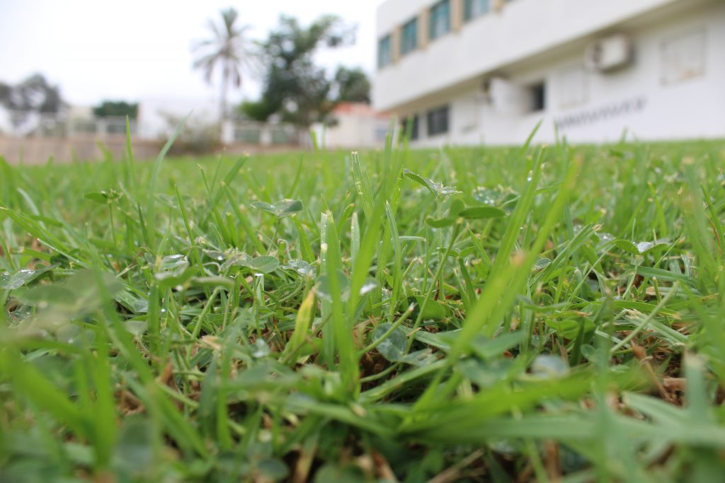 الطبيعة بعيني by imam ndeem zamel - Illustrated by امام زامل - Ourboox.com