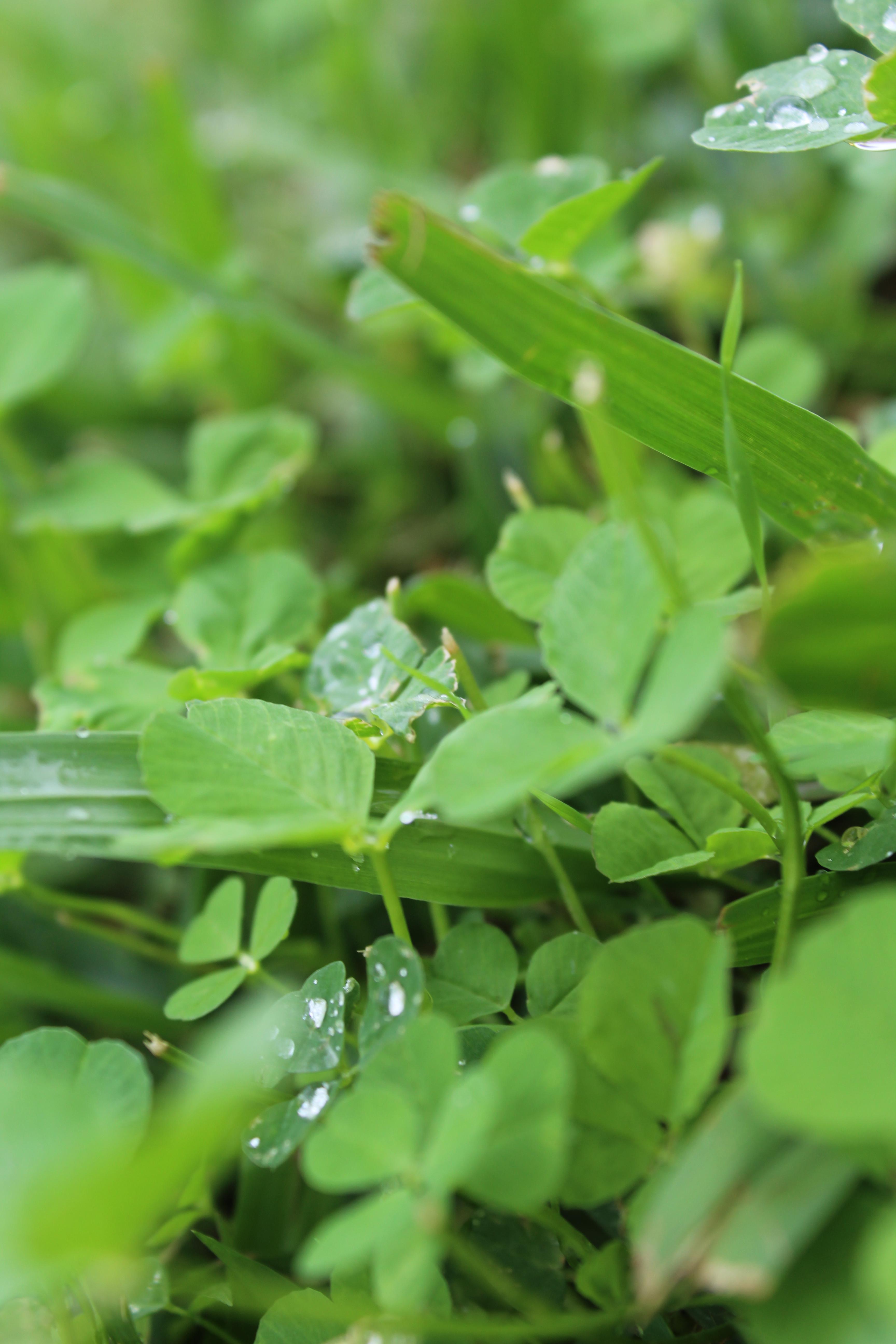 الطبيعة بعيني by imam ndeem zamel - Illustrated by امام زامل - Ourboox.com