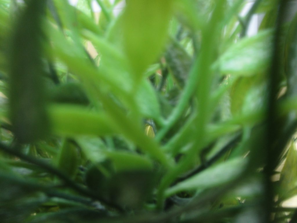 תמונות סטודיו by mora - Illustrated by המורה לצילום - Ourboox.com