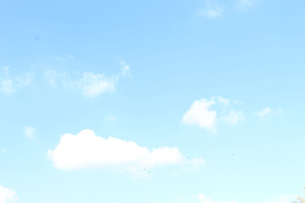 BLUE by sham ak - Illustrated by sham ak - Ourboox.com