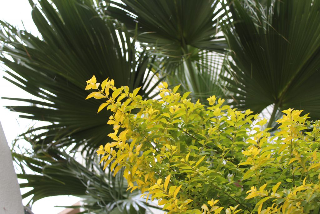 الطبيعة بعيني by imam ndeem zamel - Illustrated by امام زامل - Ourboox.com