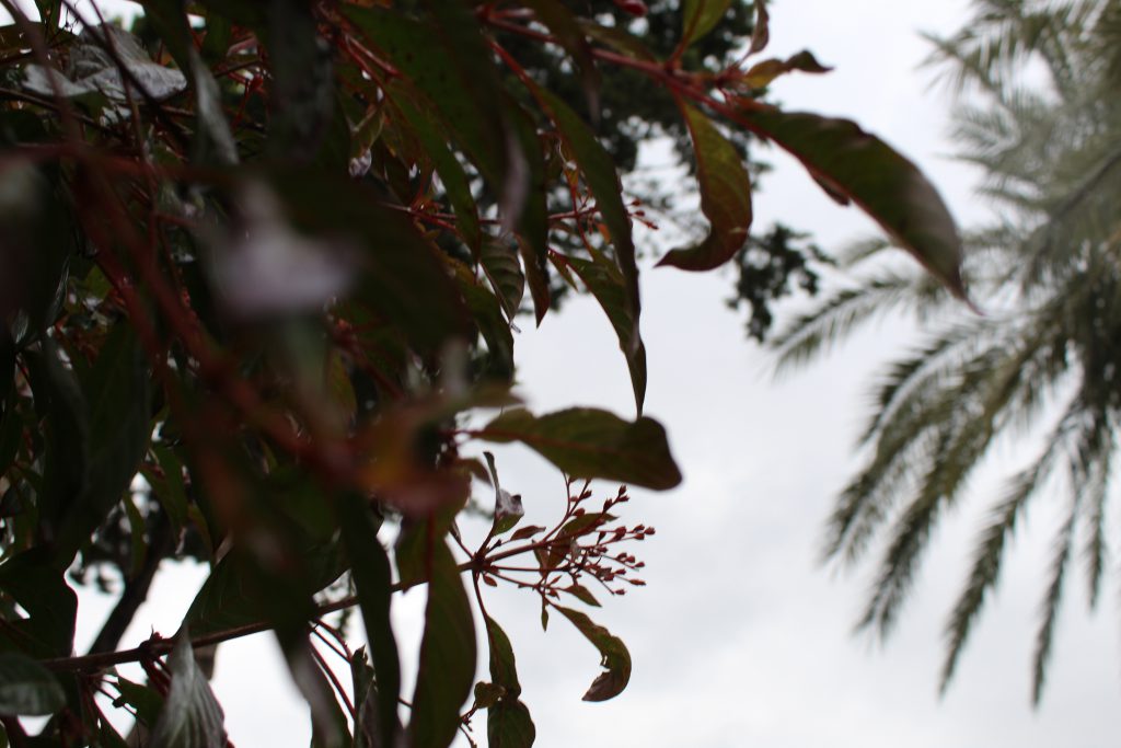 الطبيعة بعيني by imam ndeem zamel - Illustrated by امام زامل - Ourboox.com