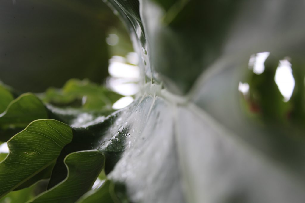 الطبيعة بعيني by imam ndeem zamel - Illustrated by امام زامل - Ourboox.com