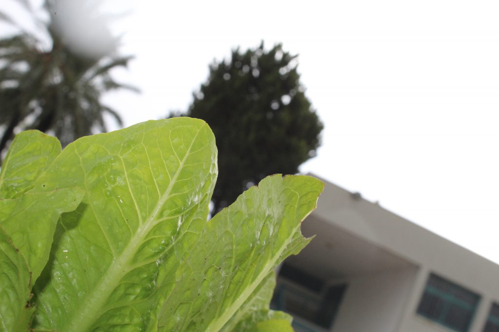 الطبيعة بعيني by imam ndeem zamel - Illustrated by امام زامل - Ourboox.com