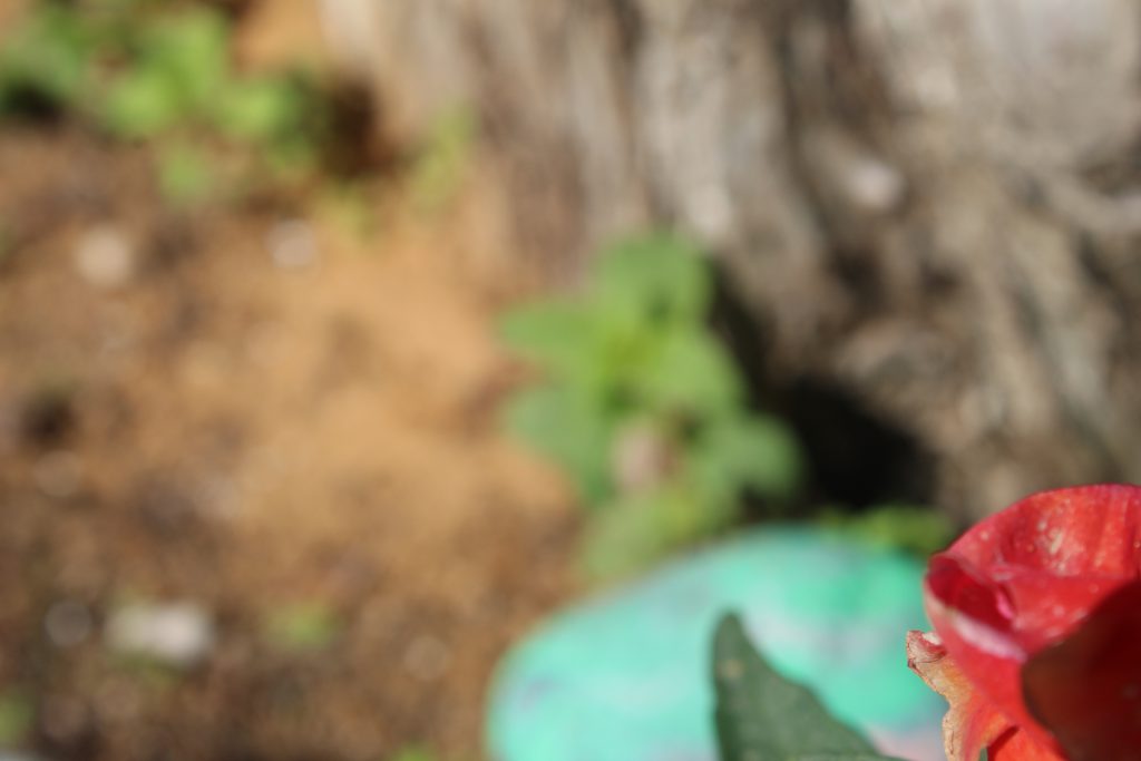 لوني المفضل…الازرق by yazan wajdi younis - Illustrated by YwY-يزن يونس - Ourboox.com